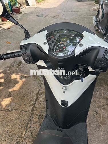 SH 150