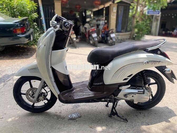sacoopy 110 nhập thái