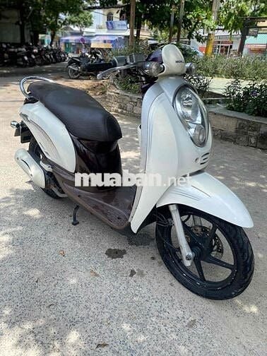 sacoopy 110 nhập thái