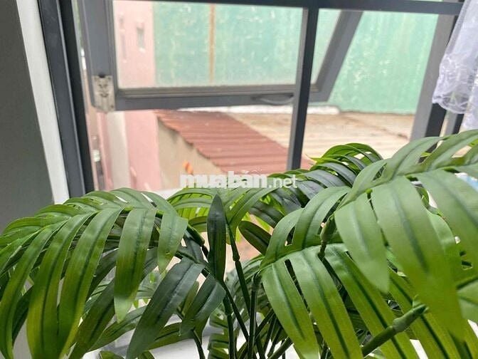 Duplex - Rộng Rãi - Thoáng Mát - CMT8 - Hoàng Văn Thụ - Ngã 4 Bảy Hiền
