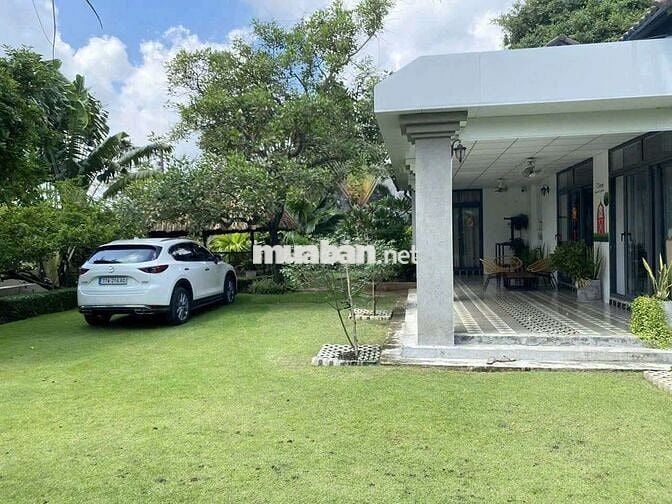 BIỆT THỰ 1500M2 SÂN VƯỜN RỘNG MÁT MẺ, SẴN HỒ BƠI NGAY TAM BÌNH THỦ ĐỨC