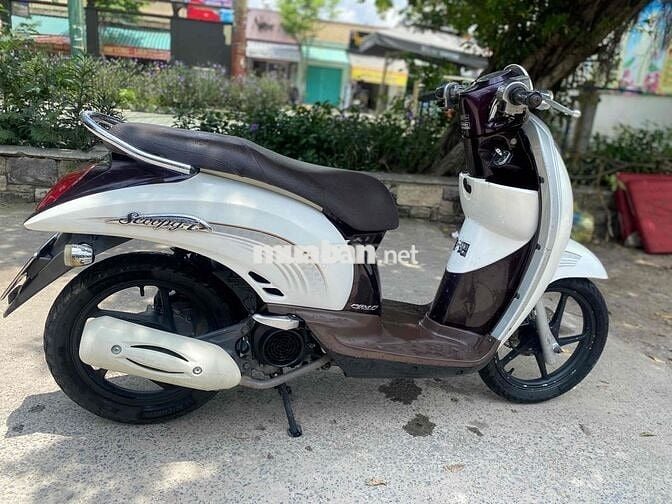 sacoopy 110 nhập thái