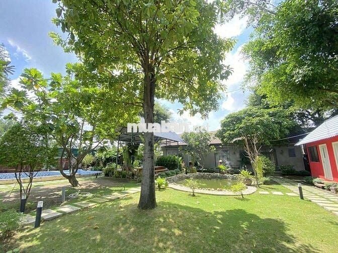 BIỆT THỰ 1500M2 SÂN VƯỜN RỘNG MÁT MẺ, SẴN HỒ BƠI NGAY TAM BÌNH THỦ ĐỨC
