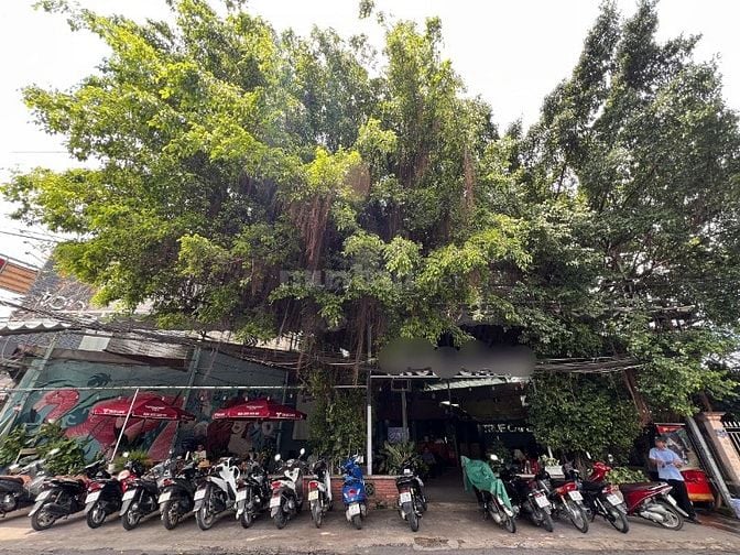 Sang quán cafe mặt tiền ngang 20m, Phường Sơn kỳ, Tân Phú 