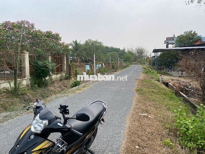470 triệu  📏 Diện tích: 5m x 25m (125m²) PT gò dầu