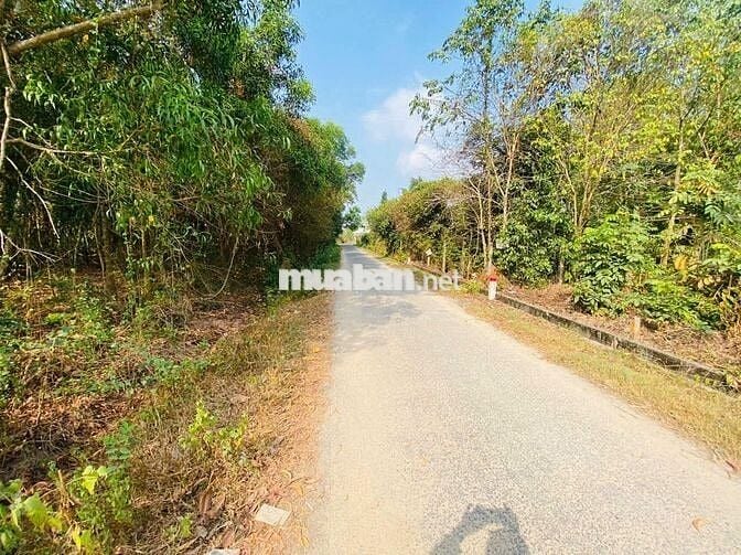 470 triệu  📏 Diện tích: 5m x 25m (125m²) PT gò dầu