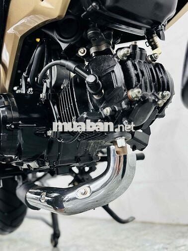 Bán msx125 bstp chính chủ siêu lướt 1300km hiếm