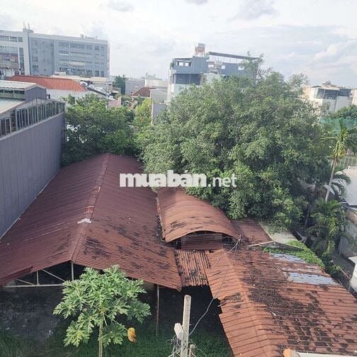 SIÊU PHẨM 230M VUÔNG NGAY ĐẠI HỌC LUẬT