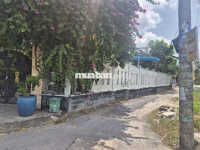 🔥 BÁN ĐẤT 5x20M – HẺM HUỲNH THỊ MÀI, TÂN HIỆP – GIÁ TỐT 🔥