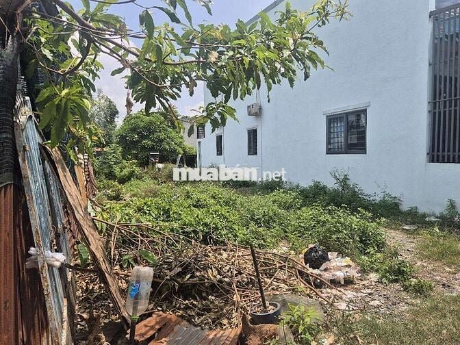 🔥 BÁN ĐẤT 5x20M – HẺM HUỲNH THỊ MÀI, TÂN HIỆP – GIÁ TỐT 🔥