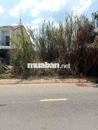 ĐẤT MẶT TIỀN ĐƯỜNG ĐÀO SƯ TÍCH – PHƯỚC LỘC, NHÀ BÈ – GIÁ TỐT 6.9 T