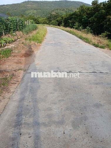 Cần bán đất 2hecta Eahleo mặt tiền đường bê tông