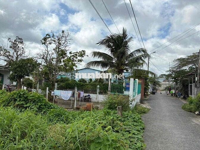 Cần bán 250m có 100m Thổ P. 3( nay là Phường Phước Hậu), T Vĩnh Long