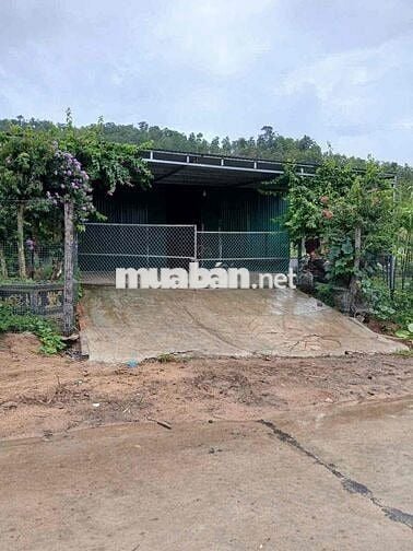 Cần bán đất 2hecta Eahleo mặt tiền đường bê tông