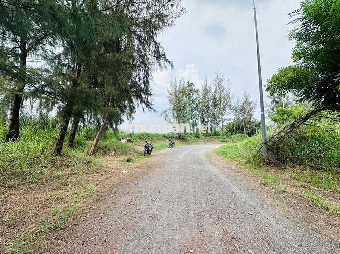 CHÍNH CHỦ BÁN LÔ ĐẤT BIỆT THỰ VIEW SÔNG GREEN LIFE 13C NGUYÊN VĂN LINH