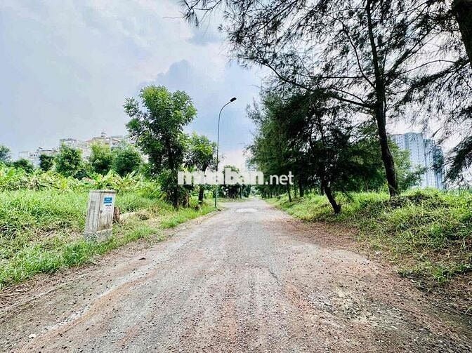 CHÍNH CHỦ BÁN LÔ ĐẤT BIỆT THỰ VIEW SÔNG GREEN LIFE 13C NGUYÊN VĂN LINH