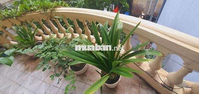 Nhà Ngõ Oto Lý Nam Đế Hoàn Kiếm 21,5Ty 60m2 mặt tiền 5m hai mặt Thoáng