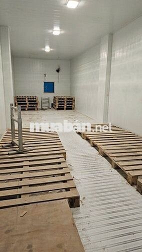 Mặt bằng kinh doanh đông đúc gần chợ đầu mối Thủ Đức