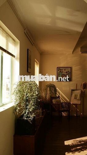 Sang nhượng homestay/ studio trung tâm Q1