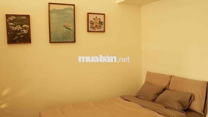 Sang nhượng homestay/ studio trung tâm Q1
