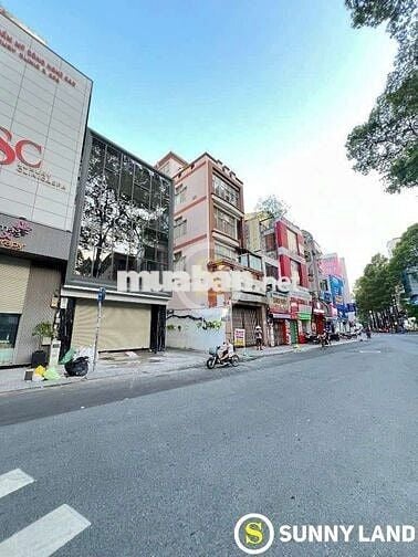 Chính chủ cho thuê nguyên căn quận 1 đường LêThi Riêng