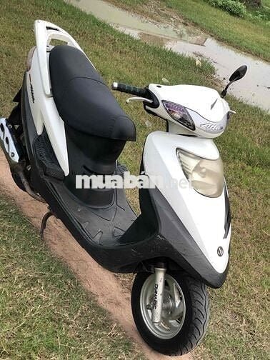Attila (SYM ) biển Tp máy êm zin