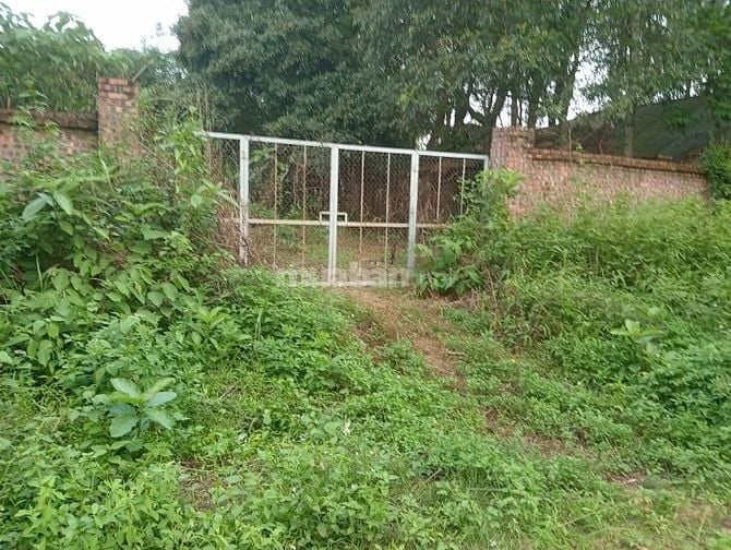 Bán 850m2 đất nhà số 2 ngõ 4 đường Lê Duẩn, cạnh hồ Đải Lải