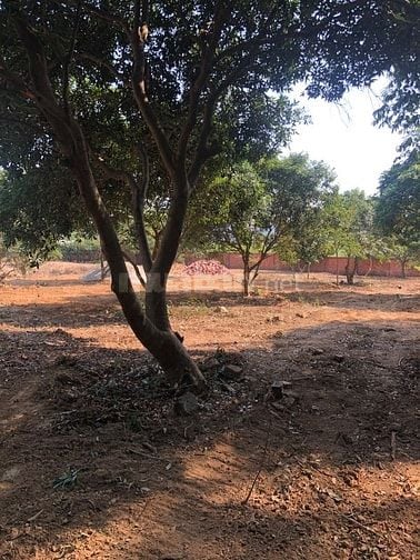 Bán 850m2 đất nhà số 2 ngõ 4 đường Lê Duẩn, cạnh hồ Đải Lải