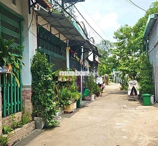 🌺 Đất thổ cư đường Bùi Công Trừng phường TX Q12, 106m2 (21x5) 💸 3,25tỷ