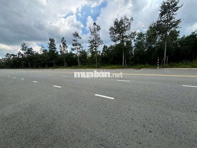 bán nhanh lô đất thuộc Mỹ Phước 4, TP Bến Cát, Bình Dương,
