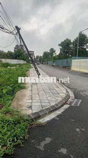 Bán mảnh đất nông nghiệp 257m2 mặt đường nhựa 2 oto tránh nhau
