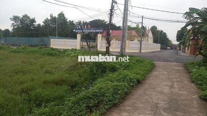 Bán mảnh đất nông nghiệp 257m2 mặt đường nhựa 2 oto tránh nhau