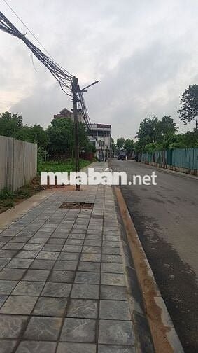Bán mảnh đất nông nghiệp 257m2 mặt đường nhựa 2 oto tránh nhau