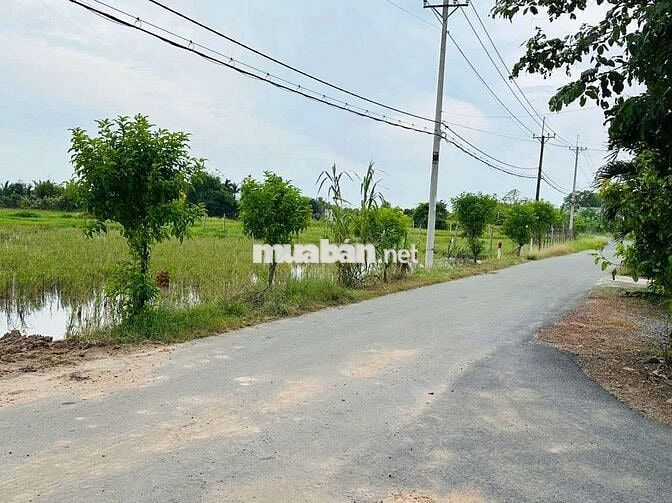 Đất vườn QH khu dân cư phủ hồng hết đất DT 890m2 giá đầu tư
