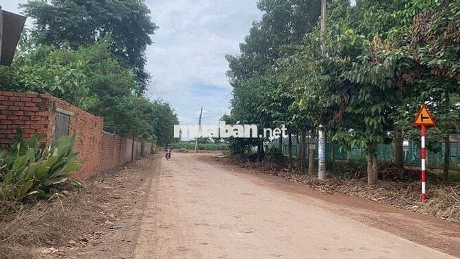 ĐẤT CHƠN THÀNH GIÁ RẺ-GIÁ 190TR-CÔNG CHỨNG NGAY