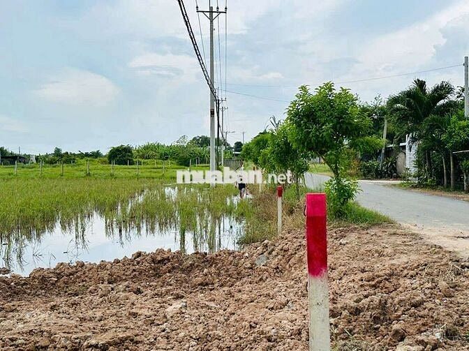 Đất vườn QH khu dân cư phủ hồng hết đất DT 890m2 giá đầu tư