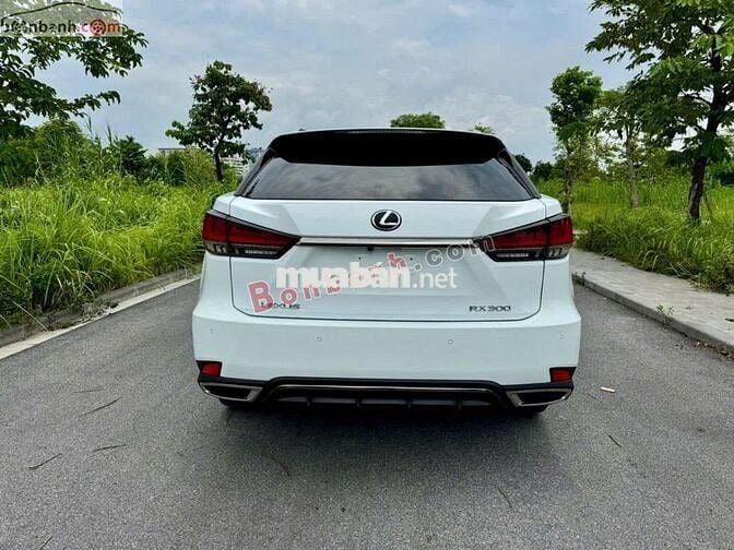 RX300 bản F-Sport sx 2022 Trắng Đỏ