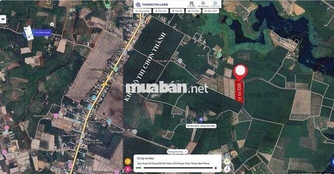 ĐẤT CHƠN THÀNH GIÁ RẺ-GIÁ 190TR-CÔNG CHỨNG NGAY