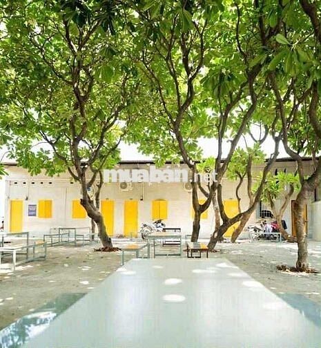 Phòng Trọ Giá Tốt, Hỗ Trợ, Tư Vấn, Tìm Phòng Miễn Phí TP.HCM & Dĩ An
