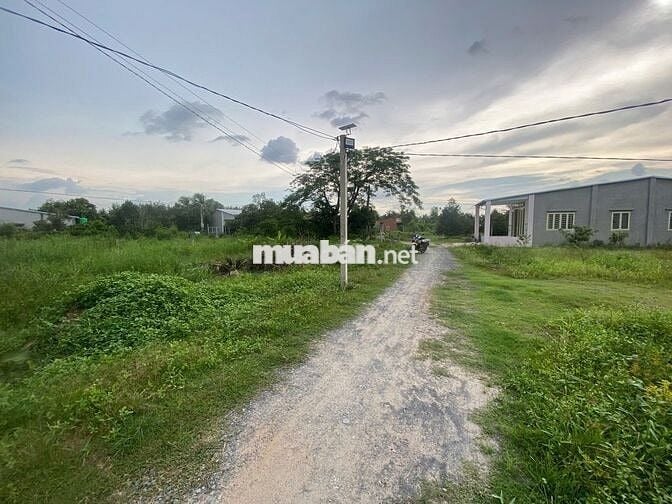 Hơn 1000m2 đất thổ cư. 12m mặt tiền. Gần KCN. 1,8 tỷ