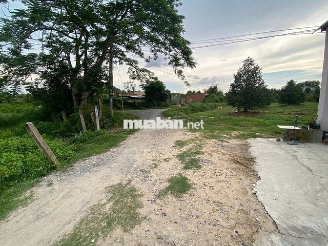 Hơn 1000m2 đất thổ cư. 12m mặt tiền. Gần KCN. 1,8 tỷ