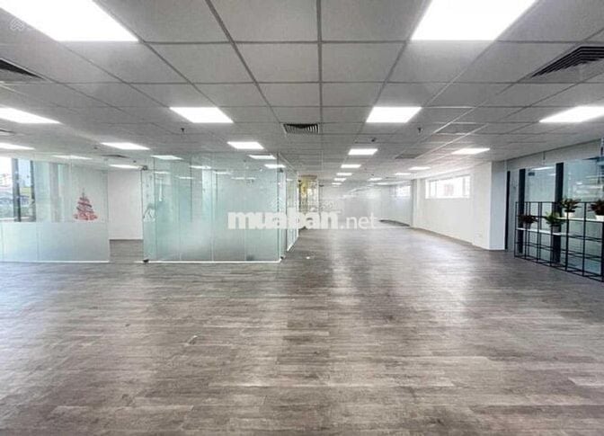 🏢 CHO THUÊ TÒA NHÀ VĂN PHÒNG – TRƯƠNG CÔNG ĐỊNH, TÂN BÌNH