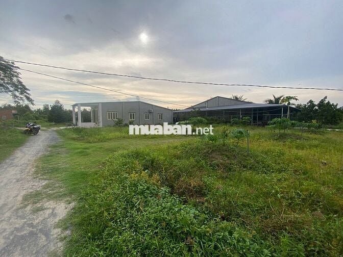 Hơn 1000m2 đất thổ cư. 12m mặt tiền. Gần KCN. 1,8 tỷ