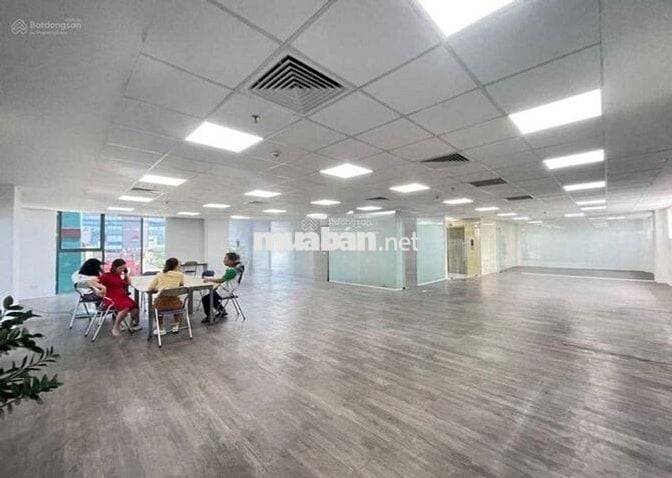 🏢 CHO THUÊ TÒA NHÀ VĂN PHÒNG – TRƯƠNG CÔNG ĐỊNH, TÂN BÌNH