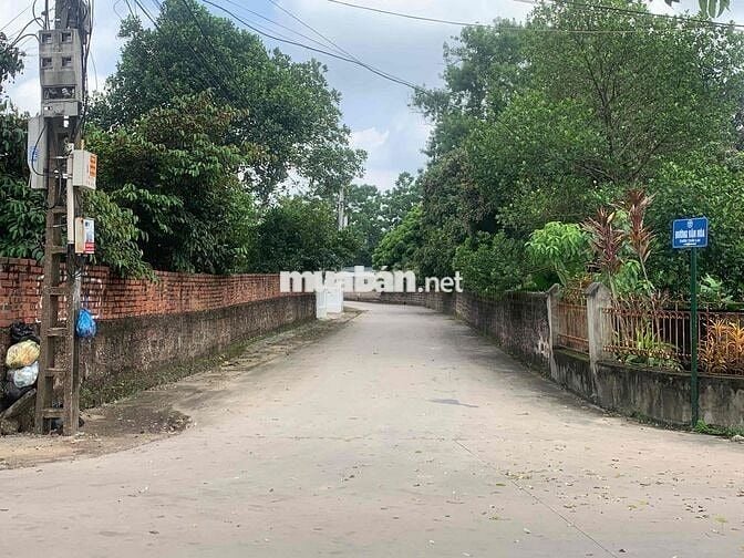 🔥 G.i.á Đẹp Nhất Khu Vực – Thái Lai (Minh Trí – Sóc Sơn) – 358m² – 2,4