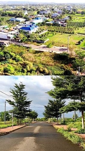 CƠ HỘI ĐẦU THƯ - ĐẤT NAM AN PHƯỜNG HÀM THẮNG 