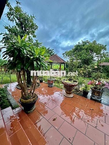 Bán đất đường nhựa 7,5m - Gần DH2 - Hoà Nhơn