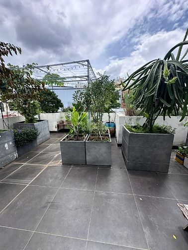 Bán nhà riêng tại Sư Vạn Hạnh, 12,5 tỷ, 43m2, giá cực chất, Phường 12