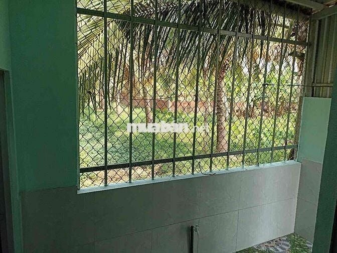 Cho thuê nhà nguyên căn Giồng Trôm cách TP Bến Tre 500m
