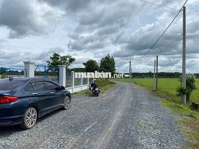 Đất VƯỜN Tỉnh lộ 7, gần chợ Phước Thạnh, 523m2, nở hậu, SHR, Giá 735tr